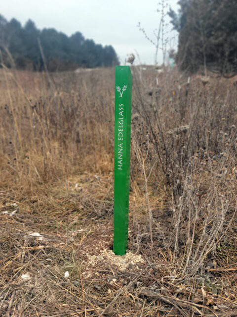 a green metal post in a field with a name painted on it in white