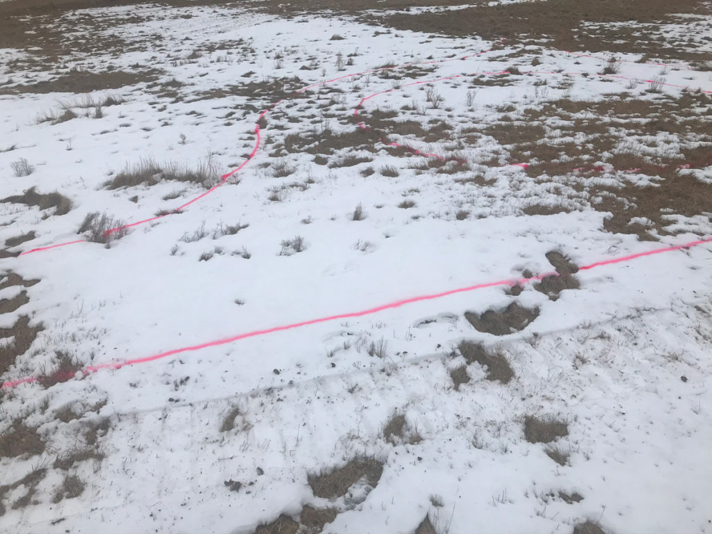 pink paint lines in the snow mark the placement of trails