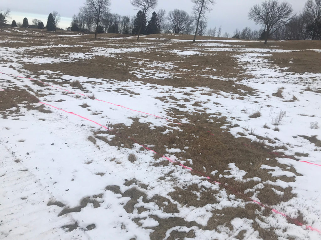 pink paint lines in the snow mark the placement of trails