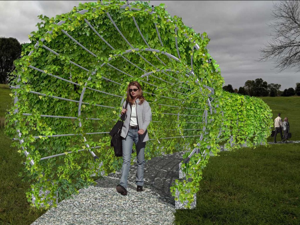 people emerge from a tunnel formed by ivy growing over a path on a form