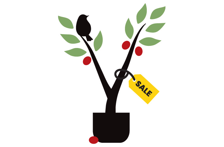 The VDBA tree logo modified so that the tree is in a nursery container and has a yellow sale tag