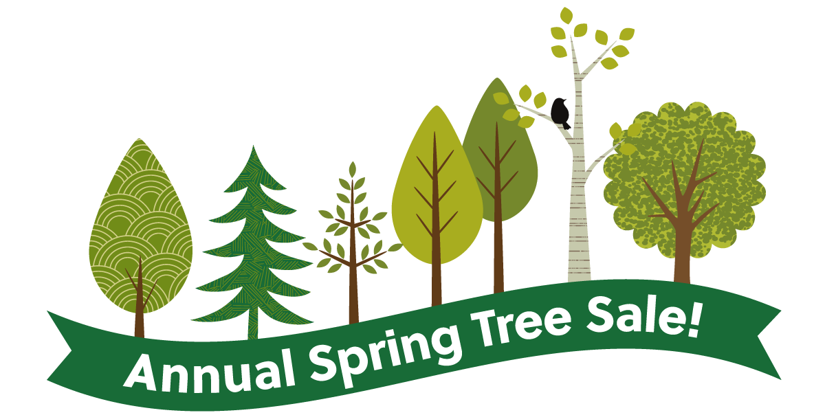 several drawings of trees with a banner that says Annual Spring Tree Sale! 