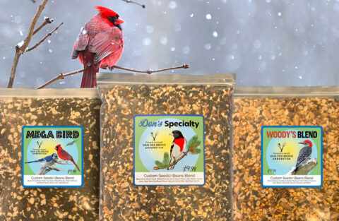 3 bags of bird seed with colorful labels and a cardinal in the back