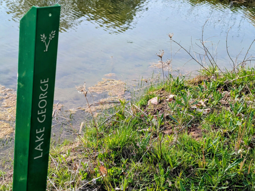 a green metal stake at the edge of a pond with the words LAKE GEORGE and the VDBA logo