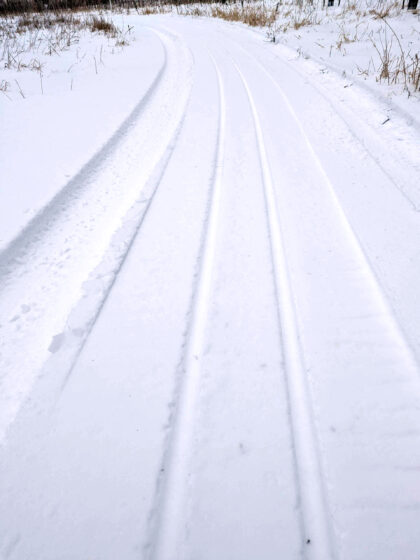 freshly groomed cross country ski trails